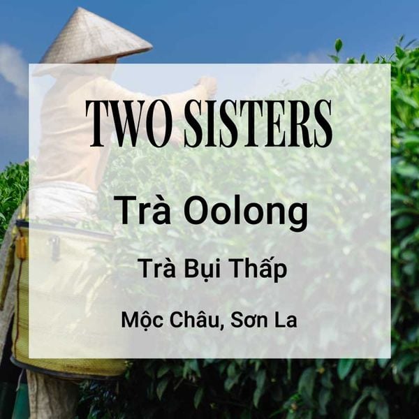  Trà Oolong Two Sisters 