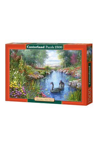 Xếp hình puzzle Bản sao Black Swans, Andres Orpinas 1500 mảnh CASTORLAND C-151042