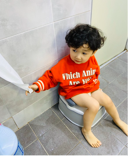  Set bô / Nắp bồn toilet tập đi vệ sinh cho bé Richell 