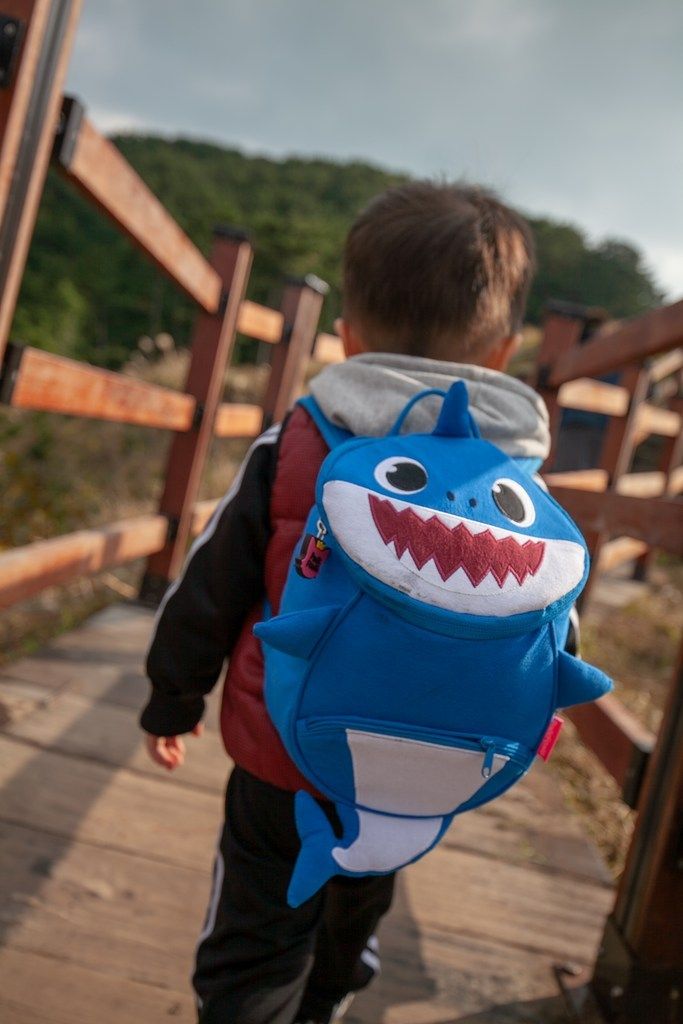  Balo cá mập Baby Shark 