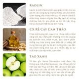 ORIGANI COMPLEXION PERFECTION PIGMENTATION CORRECTION GREEN APPLE CLAY MASK