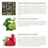 ORIGANI ERDA RICH & HYDRATING DAY CREAM