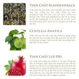 Serum Cô Đặc Làm Săn Chắc Da - Origani Erda Firming Serum Concentrate