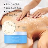 ORIGANI EXFOLIATING SALT SCRUB SUMMER LYCHEE