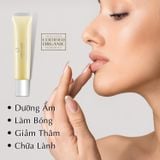 ORIGANI BUTTERFLY KISS LIP BALM