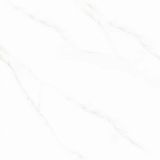  Prime Premier 03.600600.17005 (Porcelain) 
