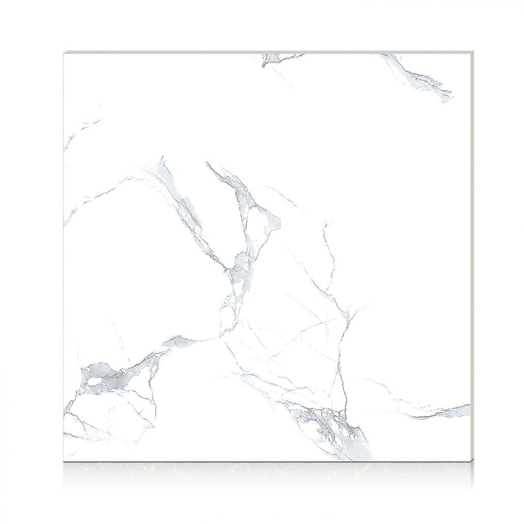  Perfetto 6091 - 600 x 600 mm (Porcelain) 