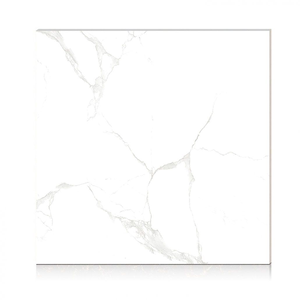  Perfetto 33000 - 800 x 800 mm (Porcelain) 