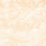  Prime Premier 03.600600.17038 (Porcelain) 