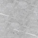  Prime Evolution 03.600600.20859 (Porcelain) 