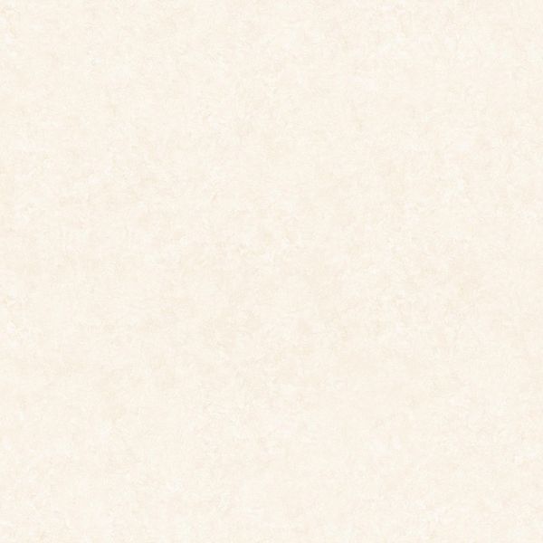  Á Mỹ 9209 600 x 600 mm (Porcelain) 