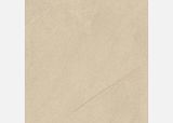  Á Mỹ Columbo 1865 800 x 800 mm (Porcelain) 