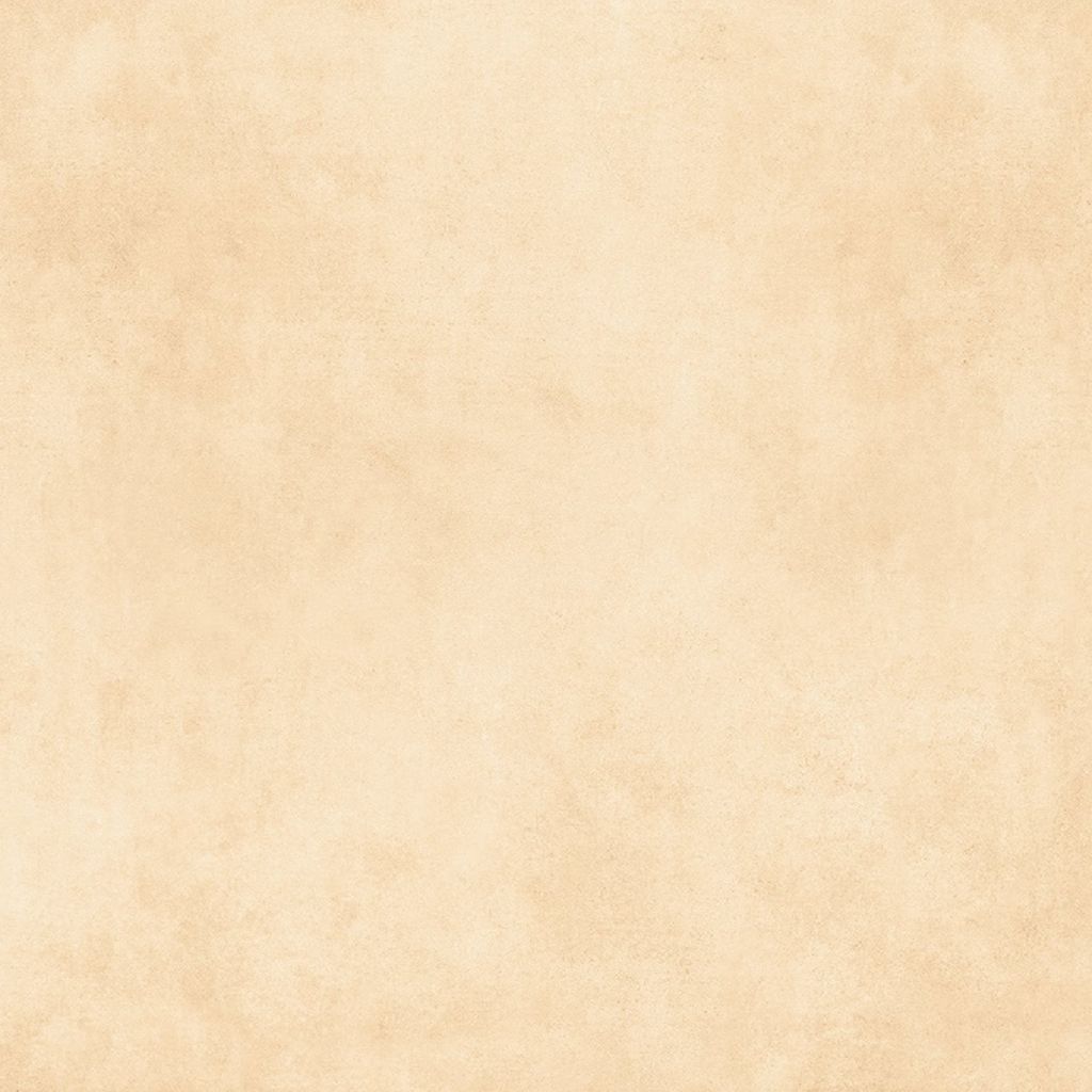  Ý Mỹ N65002H - 600 X 600 mm (Porcelain) 