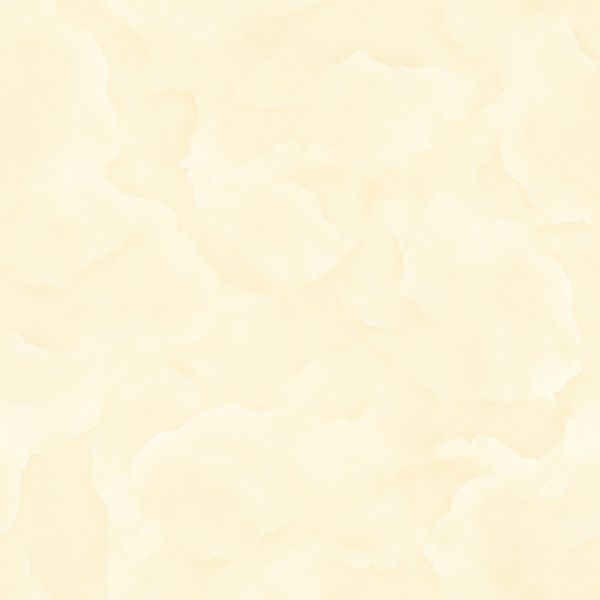  Ý Mỹ N88024 - 800 X 800 mm (Porcelain) 