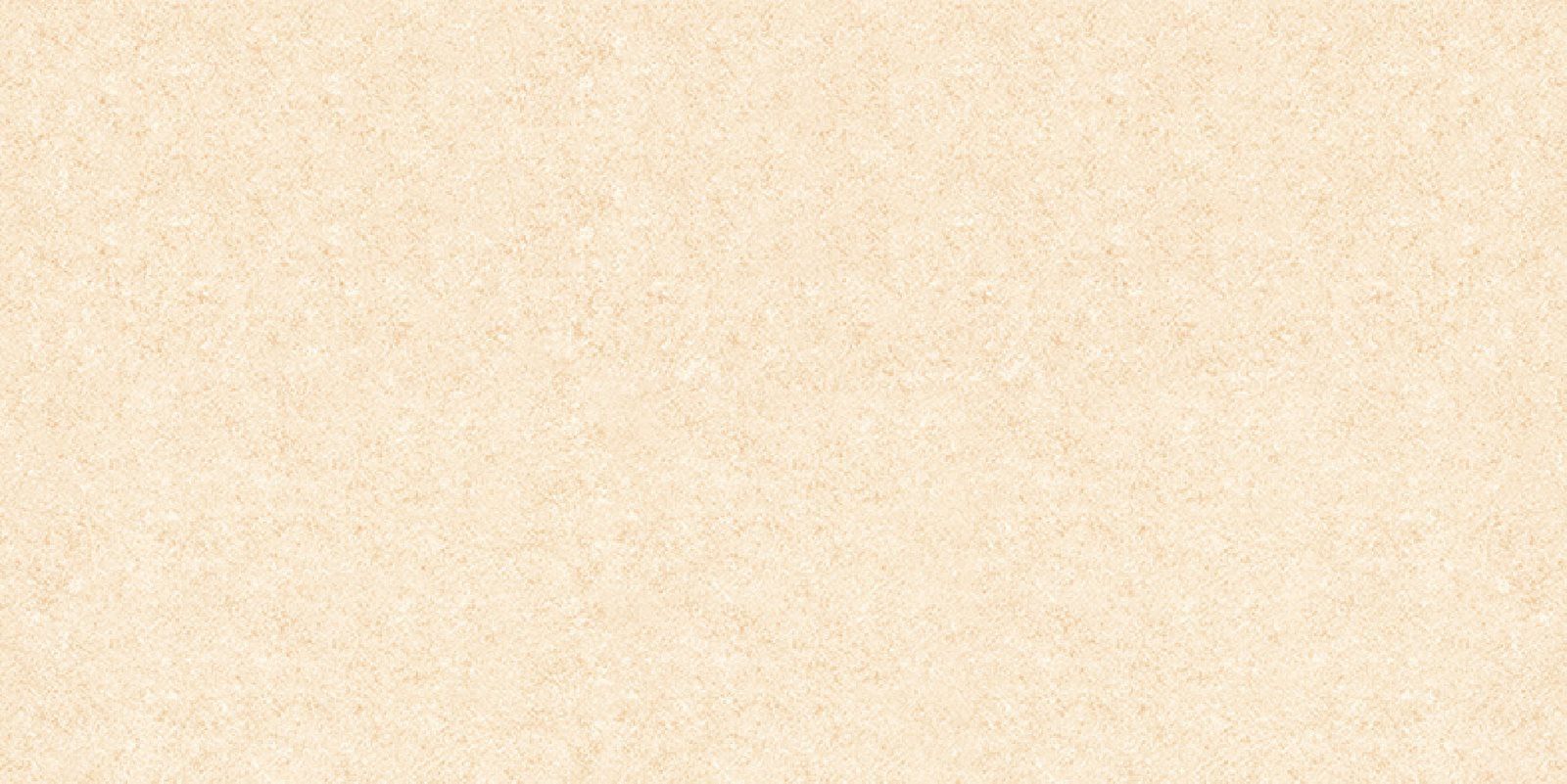  Ý Mỹ P365007 - 300 X 600 mm (Porcelain) 