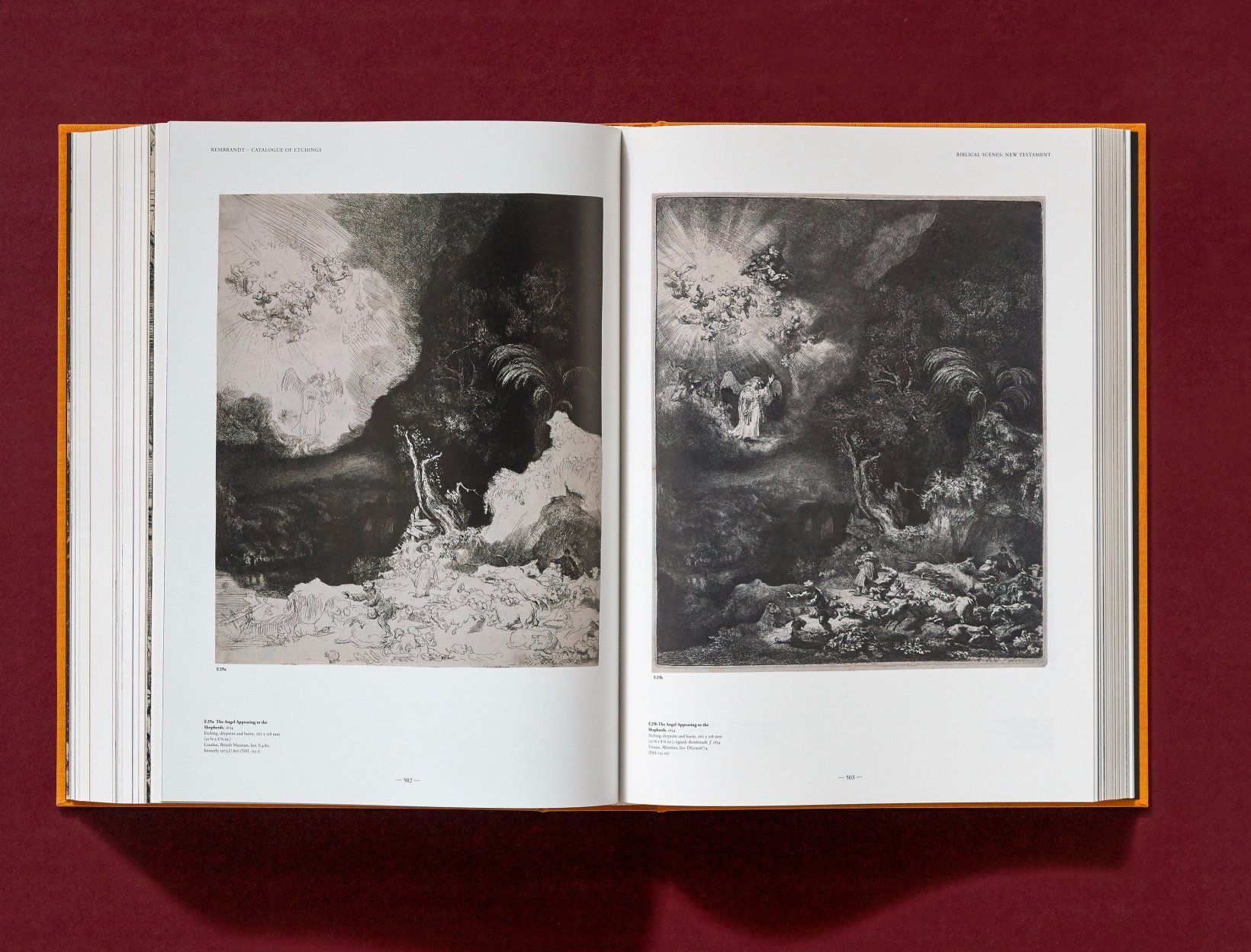 Rembrandt. The Complete Drawings and Etchings_Peter