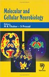  Molecular and Cellular Neurobiology 