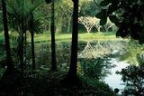  Bawa: The Sri Lanka Gardens_David Robson_9780500292921_Thames & Hudson 