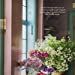 Rachel Ashwell: My Floral Affair : Whimsical Spaces and Beautiful Florals_Rachel Ashwell_9781782495475_CICO BOOKS