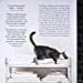 Remodelista_Julie Carlson_9781579655365_ARTISAN