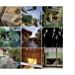 Mindful Design of Japan: 40 Modern Tea-Ceremony Rooms_Michael Freeman_9780957471757_Eight Books