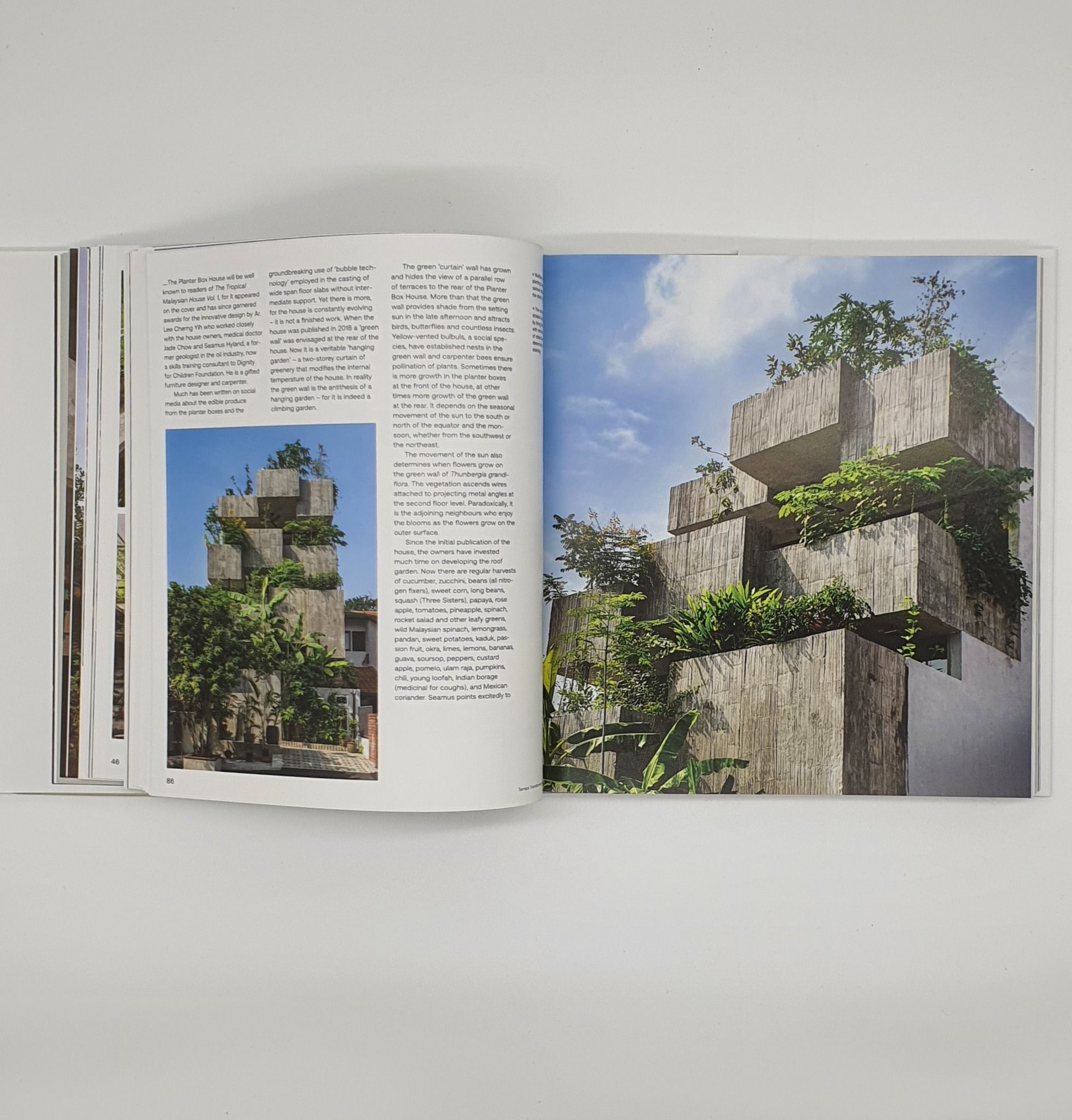  Terrace Transformations In The Tropics_Robert Powell, Lin Ho_9789671636138_Atelier International 