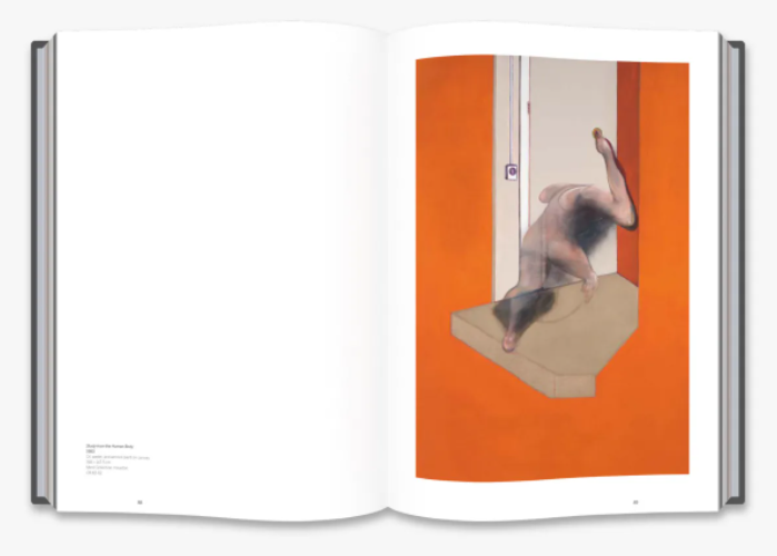  Francis Bacon: Books and Painting_Didier Ottinger_9780500239988_Thames & Hudson 