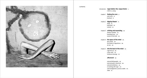 Ballenesque: Roger Ballen: A Retrospective