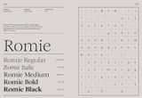  Serif in Use: A Collection of Serif Typefaces 
