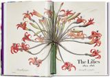  The Book of Flowers. 40th Ed. 