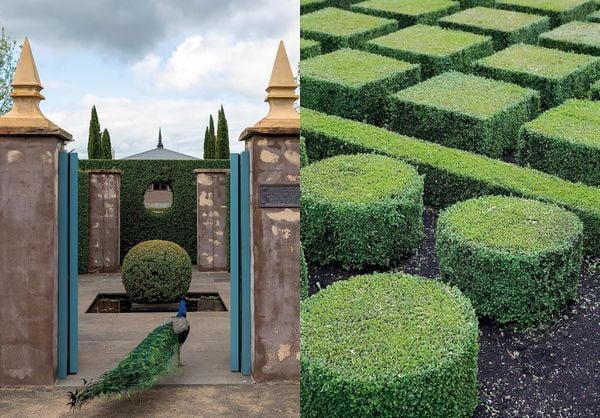 Paul Bangay: A Life in Garden Design