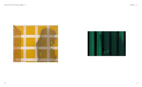  Julião Sarmento: White Nights 