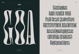  Serif in Use: A Collection of Serif Typefaces 