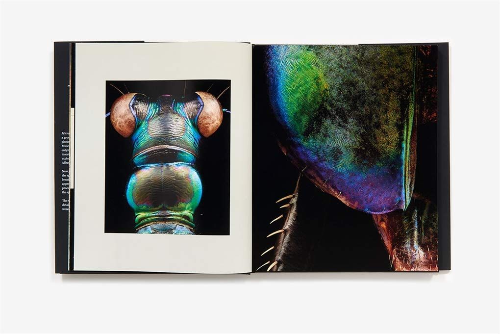  Microsculpture : Portraits of Insects_Levon Biss_9781419726958_Abrams 