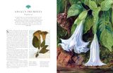  Kew - Rare Plants: The world's unusual and endangered plants 