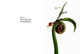  Flora Magnifica : The Art of Flowers in Four Seasons_Makoto Azuma_9780500545003_Thames & Hudson Ltd 