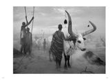  Sebastião Salgado: Genesis_Lelia Wanick Salgado_9783836538725_Taschen GmbH 