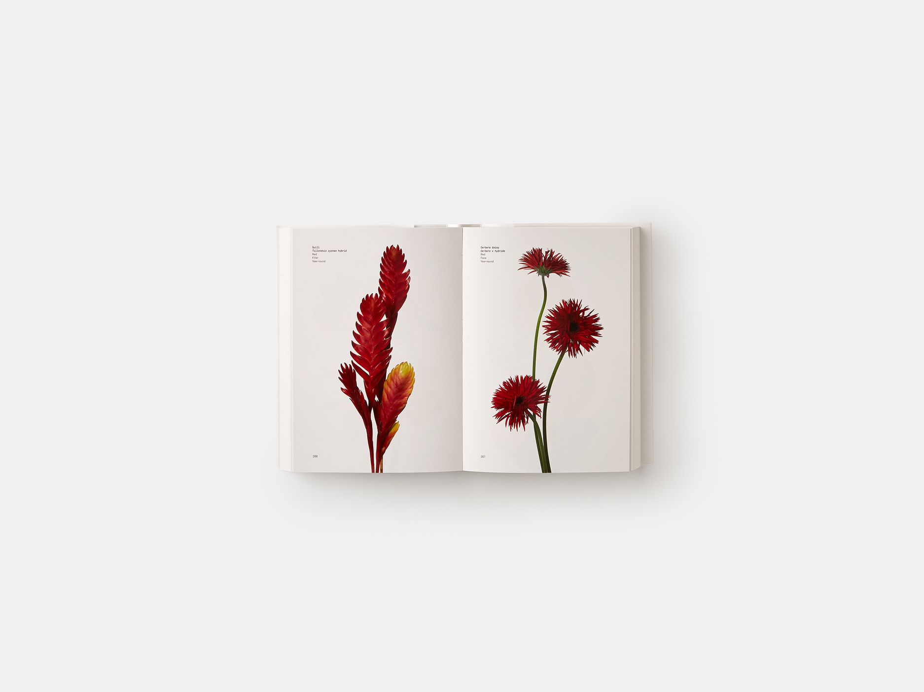  Flower Colour Guide_DARROCH PUTNAM_9780714878300_Phaidon Press Ltd 