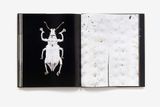  Microsculpture : Portraits of Insects_Levon Biss_9781419726958_Abrams 