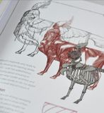  Sketching from the Imagination: Fantasy 