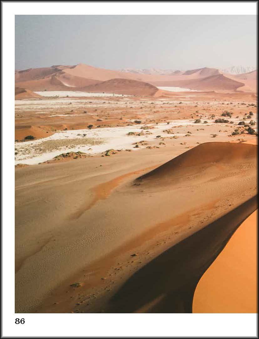  Deserted: In Pursuit of Drylands 