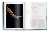  One of a Kind : The Unique World of Island Animals 