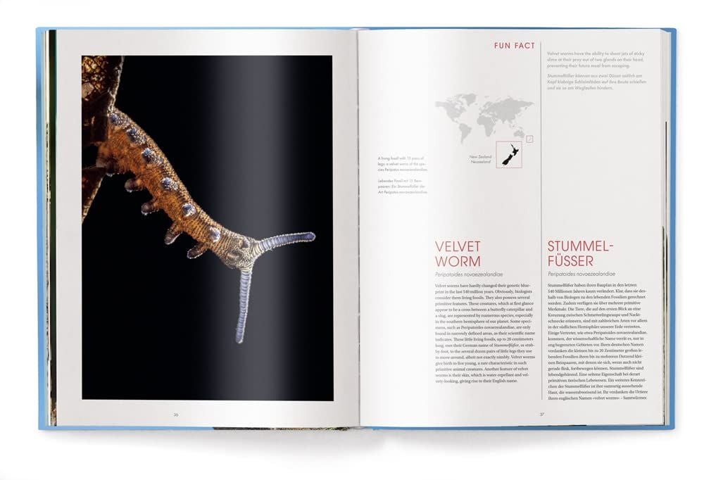One of a Kind : The Unique World of Island Animals – ARTBOOK One of a Kind : The Unique World of Island Animals – ARTBOOK