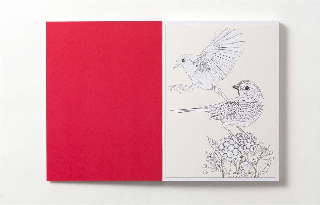  Birdtopia: 20 Colour-In Postcards_Daisy Fletcher_9781780679419_Laurence King Publishing 