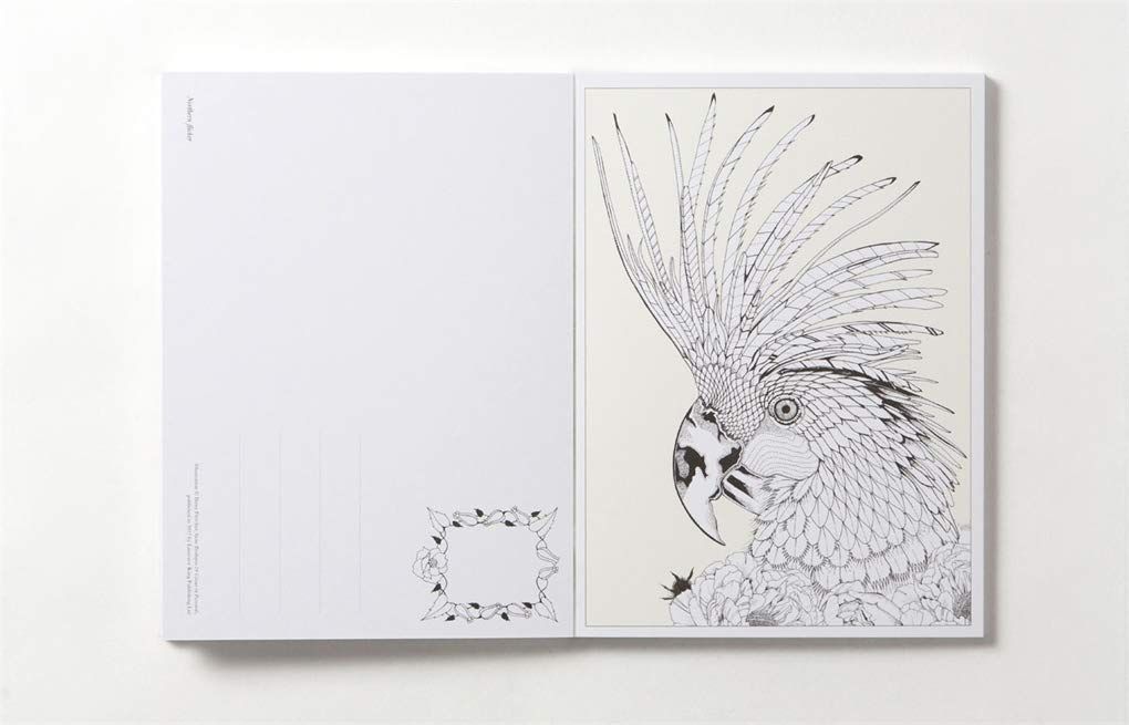  Birdtopia: 20 Colour-In Postcards_Daisy Fletcher_9781780679419_Laurence King Publishing 