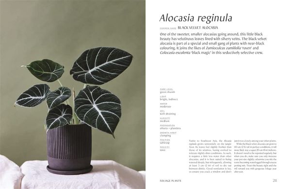 Plantopedia: The Definitive Guide to House Plants