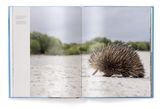  One of a Kind : The Unique World of Island Animals 