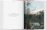  The Book Of Palms_H. Walter Lack_9783836556231_Taschen 