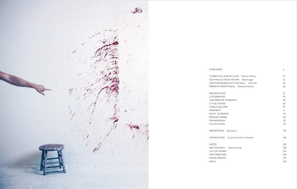  Lee Krasner : Living Colour_Eleanor Nairne_9780500094082_Thames & Hudson Ltd 