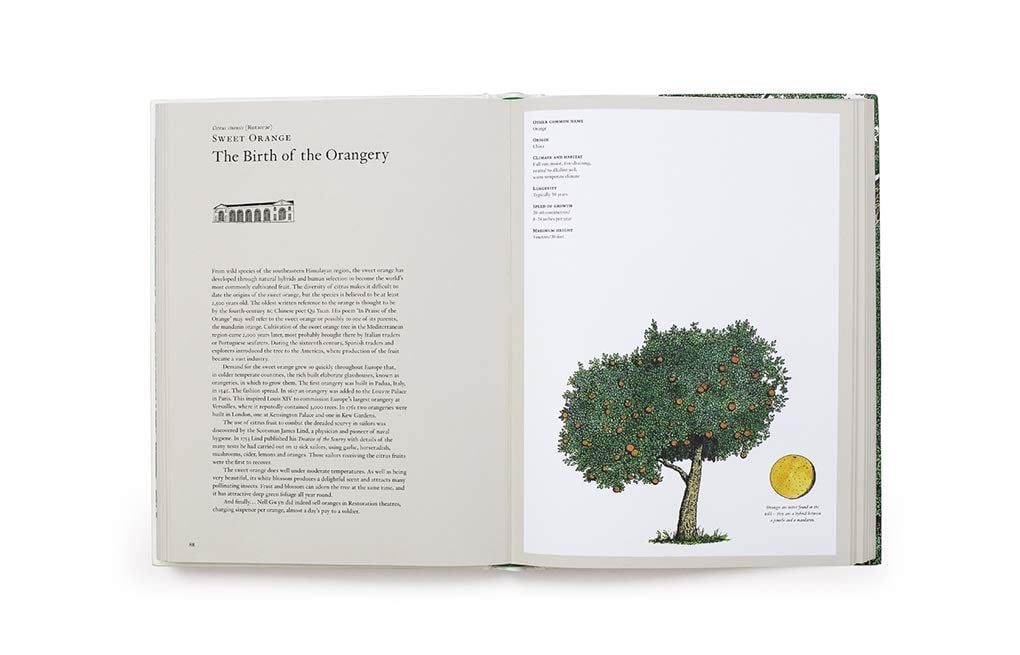  The Story Of Trees_Kevin Hobbs_9781786275226_Laurence King Publishing 